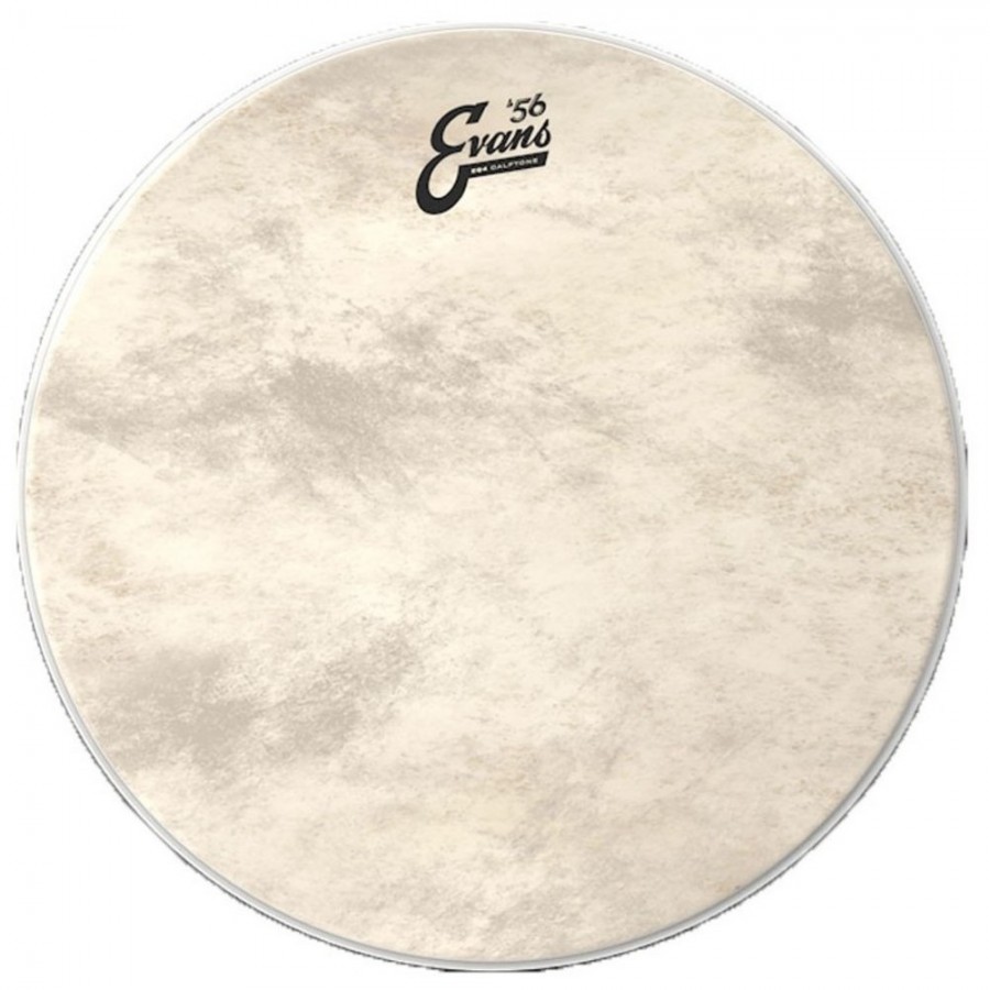 Evans Calftone Drum Head - 12